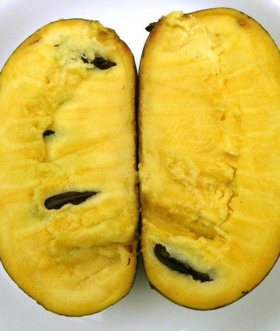 Banana nordului Paw Paw (Sunflower) Banana nordului Paw Paw (Sunflower)