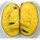 Banana nordului Paw Paw (Sunflower) Banana nordului Paw Paw (Sunflower)