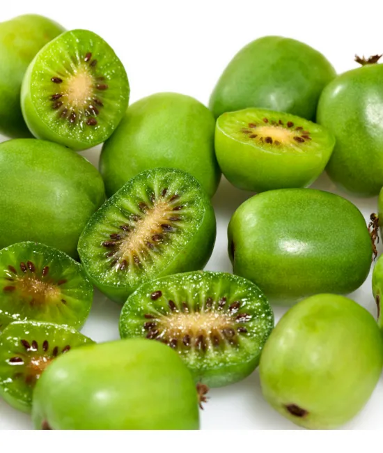 Mini Kiwi Issai ghiveci Mini Kiwi Issai ghiveci