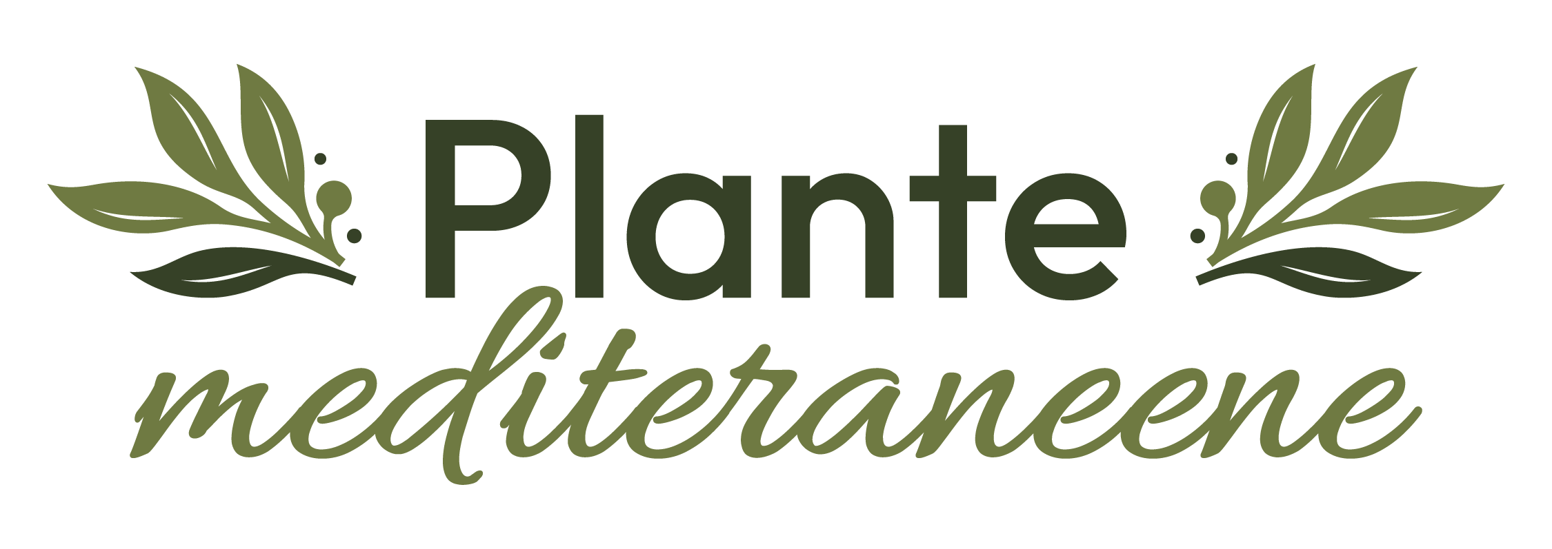 Plante Mediteraneene