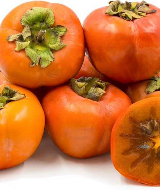 Kaki Ogosho (radacina nuda) Kaki Ogosho (radacina nuda)