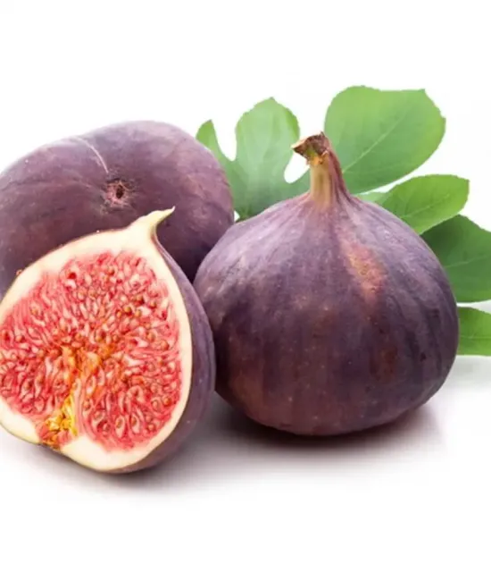 Smochin Brogiotto Nero (radacina nuda) Smochin Brogiotto Nero (radacina nuda)