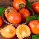 Kaki Vaniglia pe rod (radacina nuda) Kaki Vaniglia pe rod (radacina nuda)
