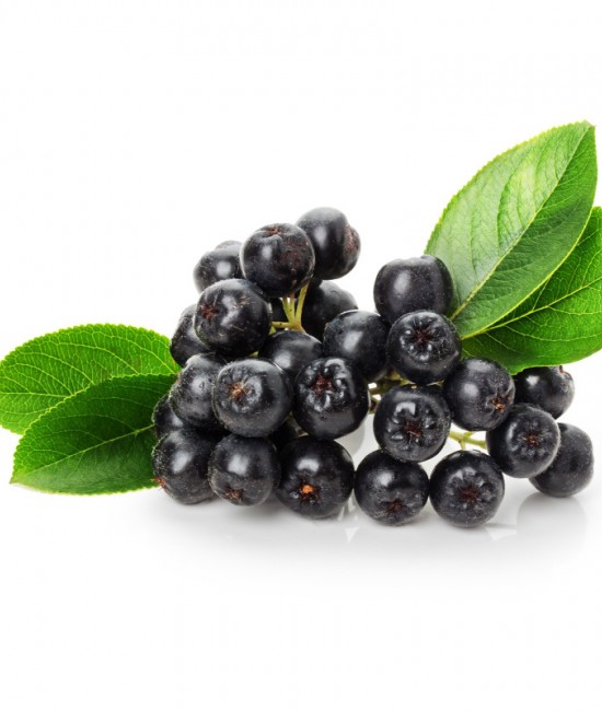 Aronia Nero (radacina nuda) Aronia Nero (radacina nuda)