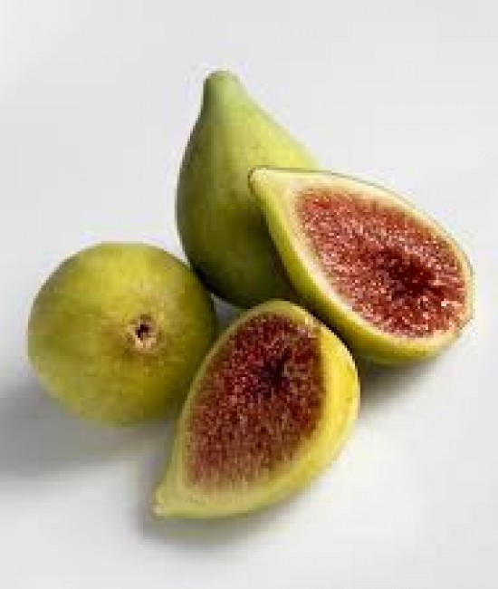 Smochin Fiorone (radacina nuda) Smochin Fiorone (radacina nuda)